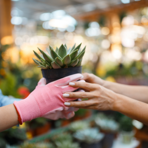 Gewinnsteigerung für Händler